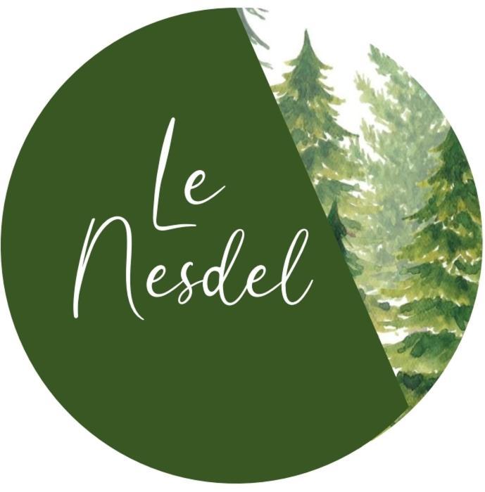 Le Nesdel Apartment Gerardmer Exterior photo